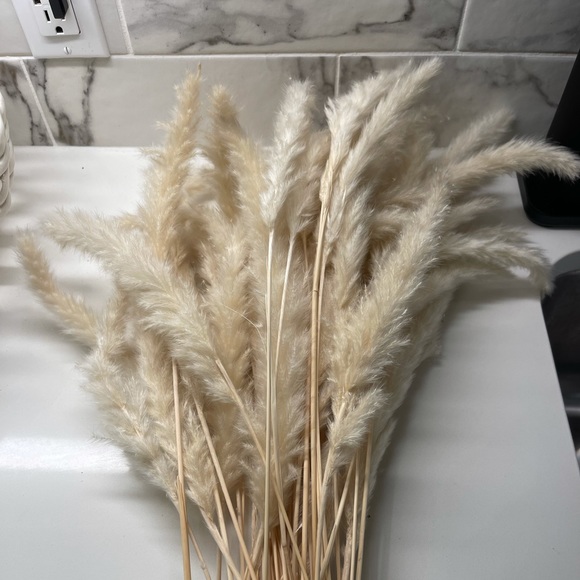 Pottery Barn Accents 5 Piece White Pampas Grass Poshmark